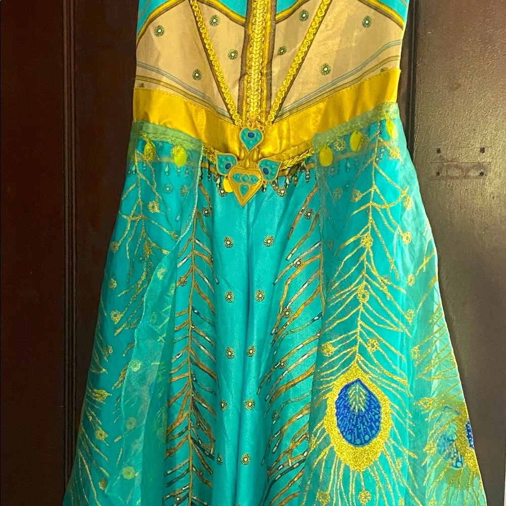 Princess Jasmine Halloween Costume